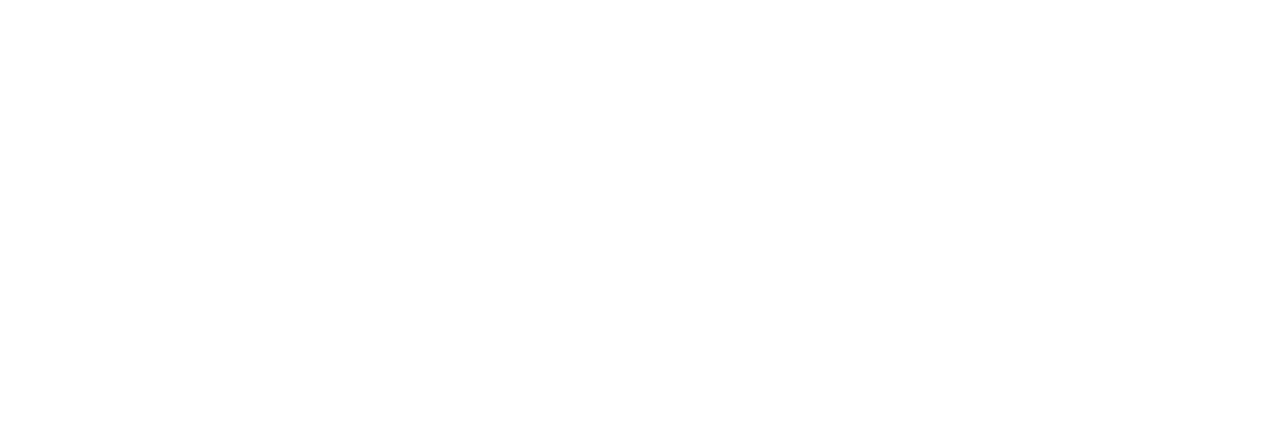 https://bisonlife.in/wp-content/uploads/2025/02/Icons-01-1280x448.png